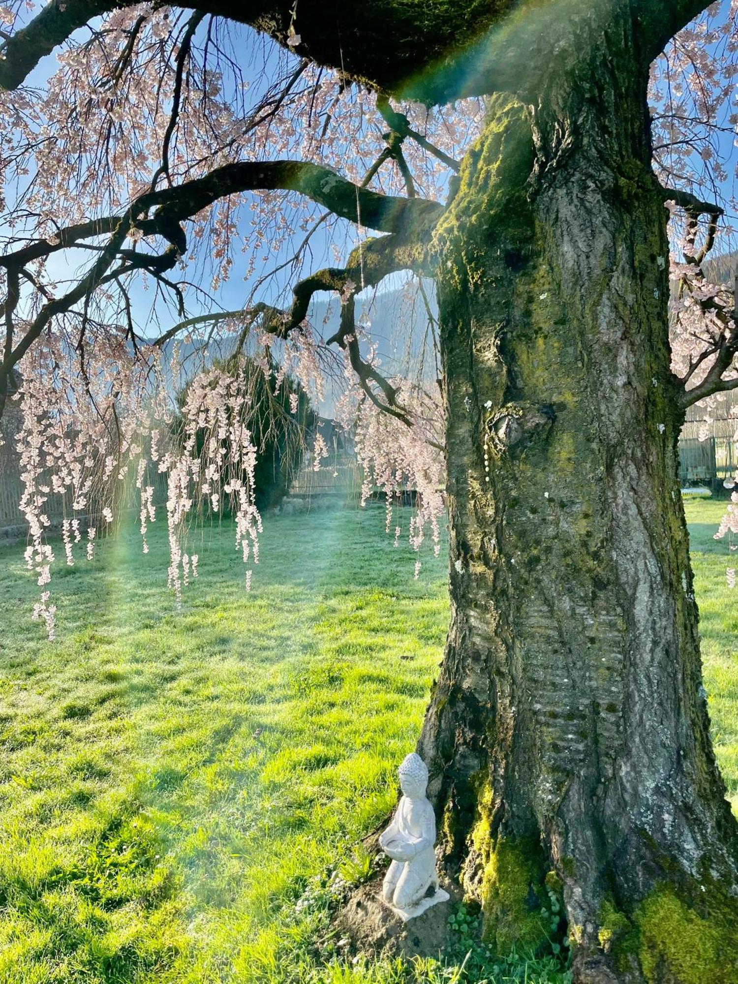 Paradiso Sul Lago Calceranica al Lago Exterior photo